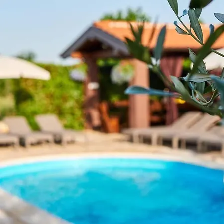 בית נופש Holiday House Zugan Kaštelir